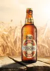 TUBORG GOLD 33CL