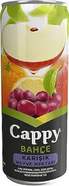 CAPPY KARIŞIK